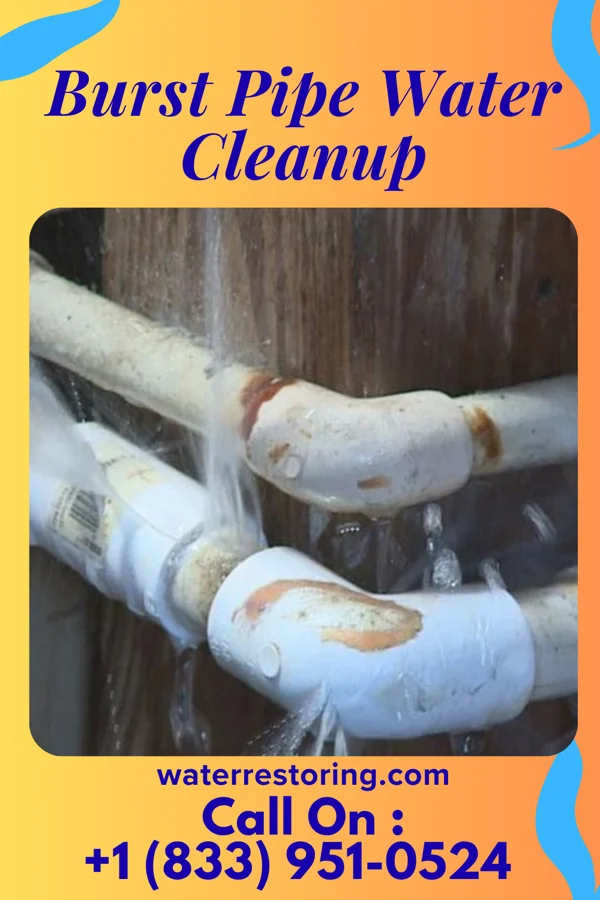 Burst Pipe Water Cleanup in Pleasant Prairie, WI