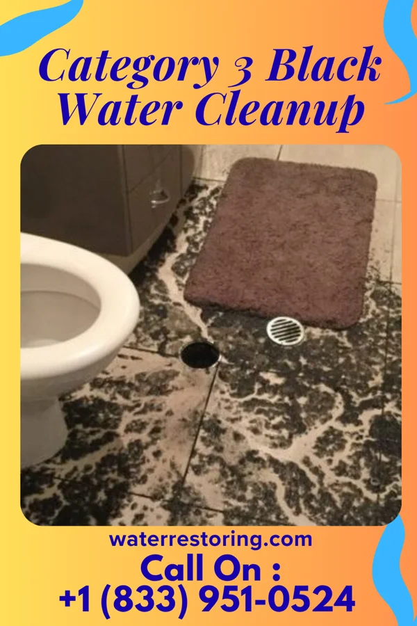 Category 3 Black Water Cleanup in Pleasant Prairie, WI