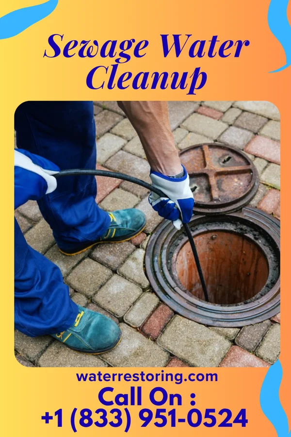 Sewage Water Cleanup in Pleasant Prairie, WI